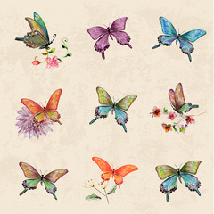 Obrazy  vintage a collection of butterflies. watercolor painting
