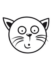 Cat small young funny goofy sweet pet