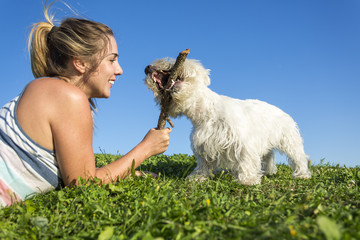 portrait of beautiful girl keeping pretty white West Highland