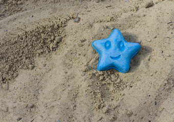 smiling star on the beach