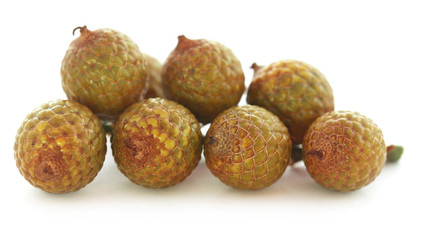 Tropical Calamus palm fruits