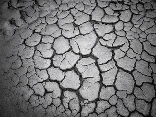 Cracked dry soil