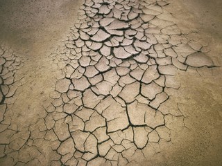 Cracked dry soil