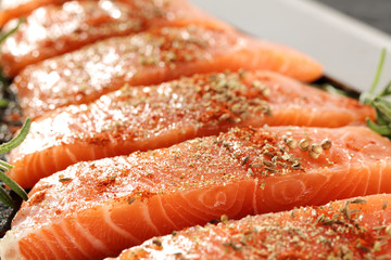 salmon 