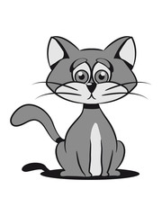 Cat small young sad sweet