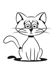 Cat small young sad sweet