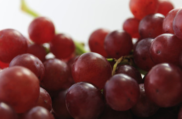 Grapes on white background, selective focus point