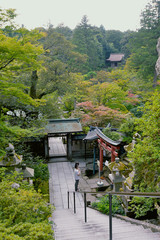 石段と日本庭園