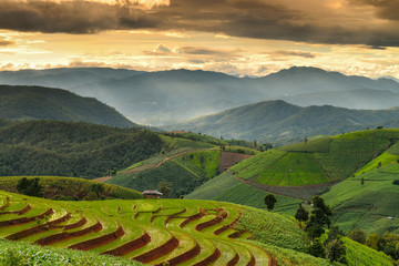 Obraz premium Terraced rice and landscape Chiang Mai