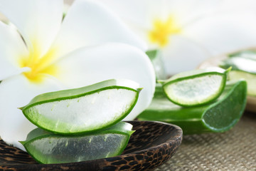 Obraz na płótnie Canvas Close-up aloe vera for skin treatment and spa
