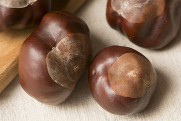 fruit chestnut
