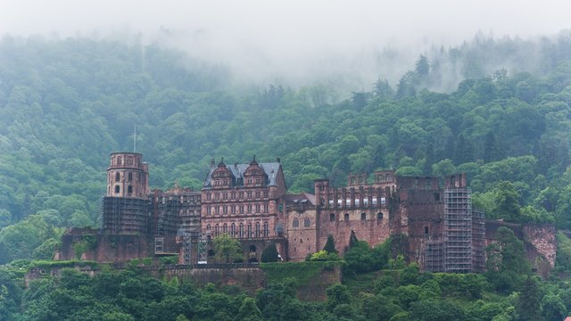 the castle of heidelberg in fog..