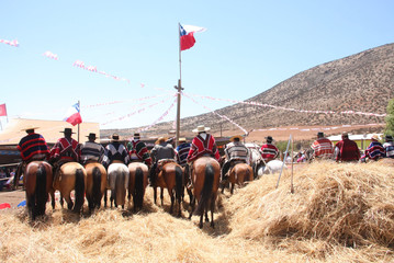 Trilla a yegua suelta