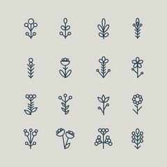 Set of abstract line icons flowers. Vector illustration