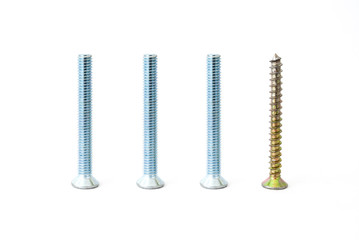 Three bolts and one screw on the white background