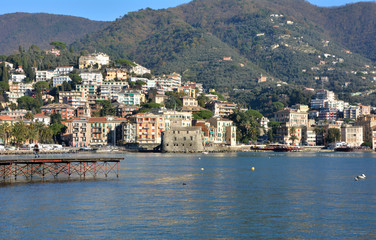 Fototapeta premium portofino shore