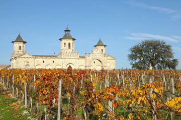 Château du vignoble bordelais