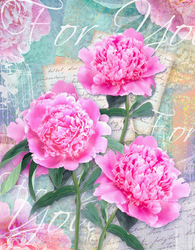 Postcard flower. Congratulations card with beautiful peonies on a grunge background and text for you. Can be used as gift, greeting card, invitation for wedding, birthday, other holiday happening.