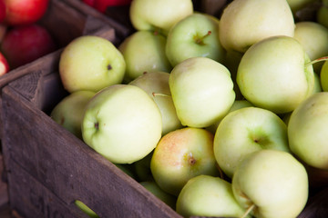 Box full of fine ripe green apples