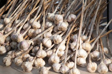 Fine grown garlic heads at market stall