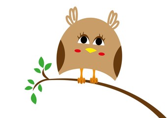 sowa,sowy © monikakosz