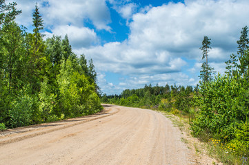 Fototapeta na wymiar A rural road through a forest