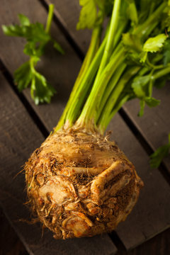 Raw Organic Celery Root