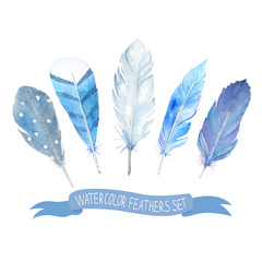 Feathers photos, royalty-free images, graphics, vectors & videos | Adobe Stock