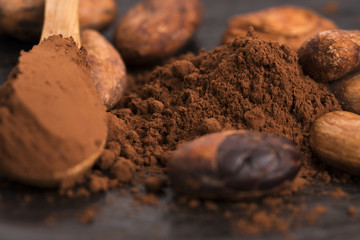 cacao beans and cacao powder in spoon