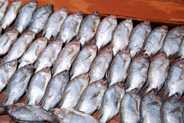 Fresh fish exposed on the market stalls of the village Pomerini