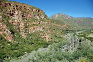 Fototapeta na wymiar Escoipe Gorge (Quebrada de Escoipe)