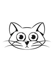 Cat small young sweet pet