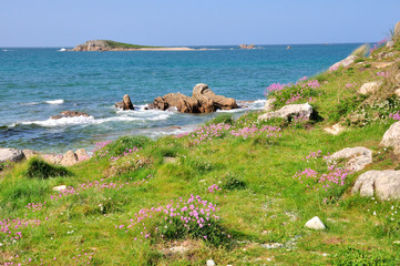 Joli paysage de mer sous un ciel bleu à Plougrescant en Bretagne