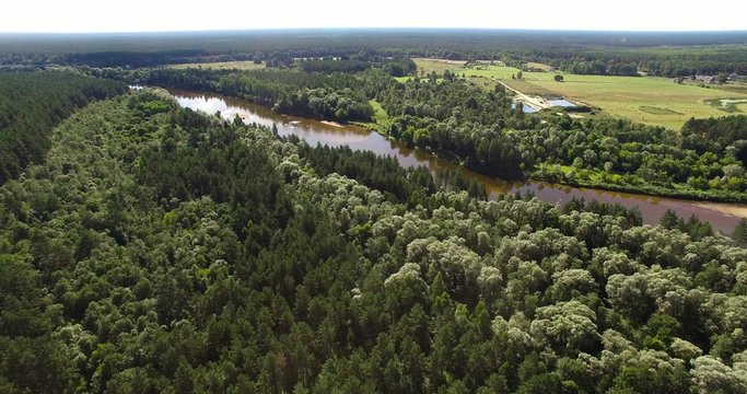 4K - View of the forest river. scene 01