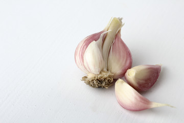 Garlic on a white background