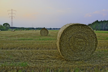 Po żniwach. © boguslavus