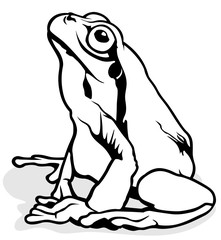 European Tree Frog - Black and White Illustration, Vector