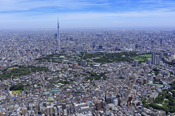 谷中周辺／空撮