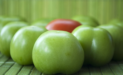 Grüne und rote Tomaten vor grünem Hintergrund