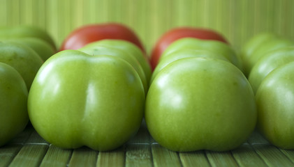 Rote und grüne Tomaten vor grünem Hintergrund