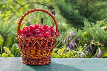 Fresh raspberries in the basket 