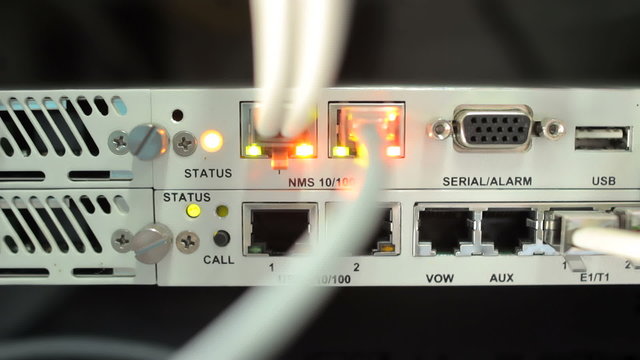 ethernet cables plugged into a switch 