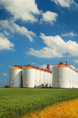 Fototapeta na wymiar Agricultural silos under blue sky, in the fields