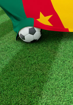 Soccer ball and national flag of Cameroon,  green grass