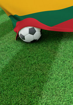 Soccer ball and national flag of Lithuania,  green grass