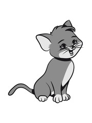 Cat small young loving naughty