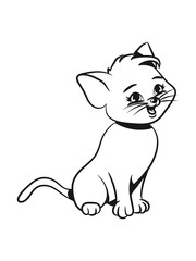 Cat small young sweet sweet