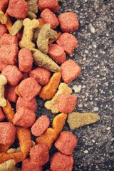 Dry food for dog and cat