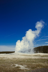 Old Faithful in Yellowstone National Park