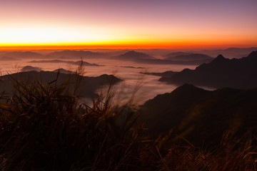 Phu chi fa